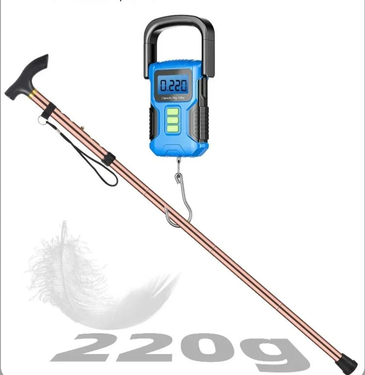 rutschfester Winter-Trekkingstock