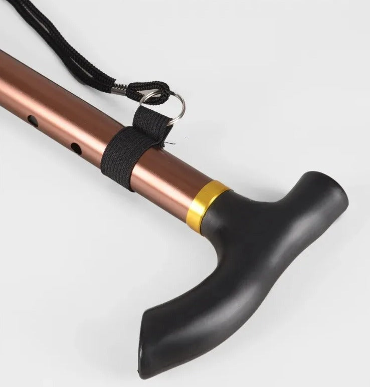 rutschfester Winter-Trekkingstock